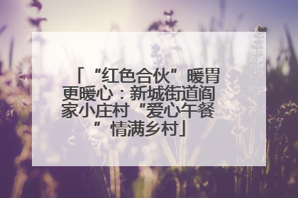 “红色合伙”暖胃更暖心：新城街道阎家小庄村“爱心午餐”情满乡村